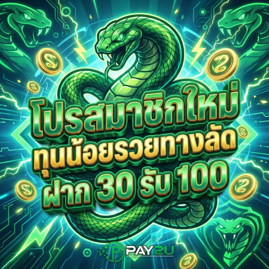 PAY2U-โปรโมชั่น